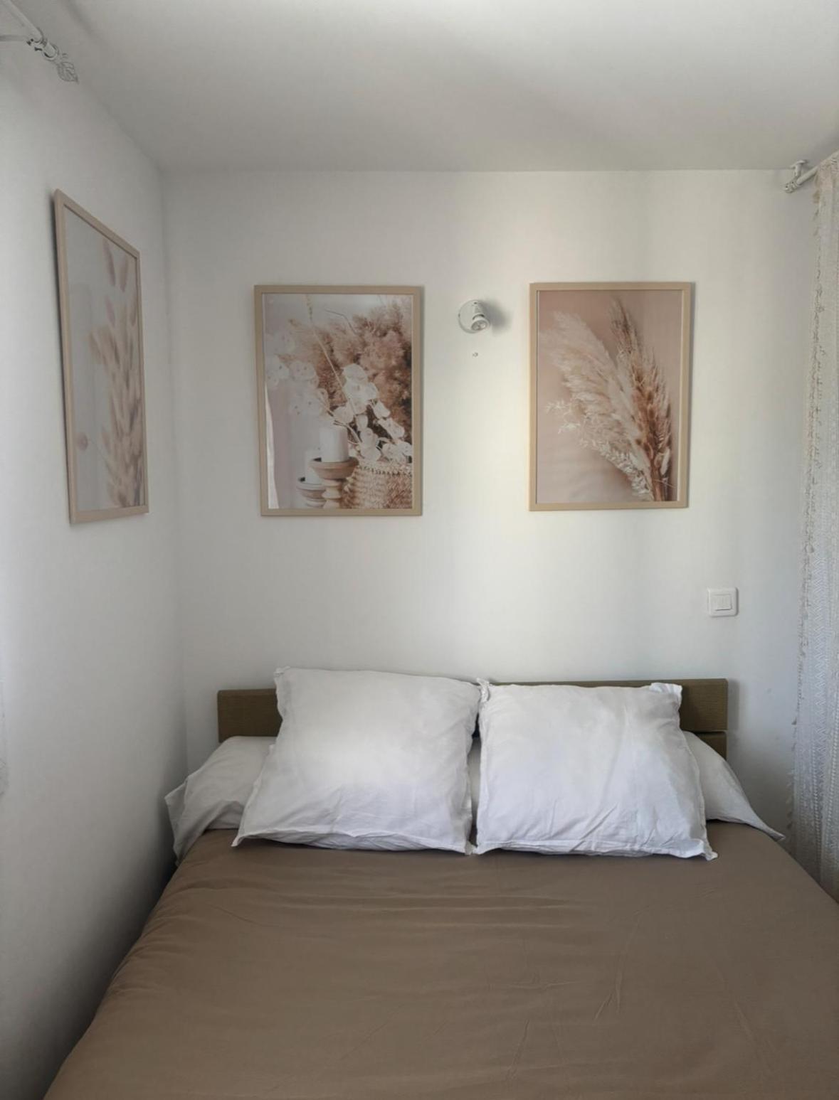 logement privée à 50m de la plage de Miomo Marine du Miomo Extérieur photo